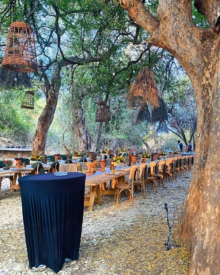 Palala Boutique Game Lodge And Spa Tom Burke Exterior photo